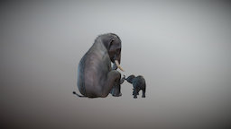 Indian Elephants elephant, indian, mother, india, eel