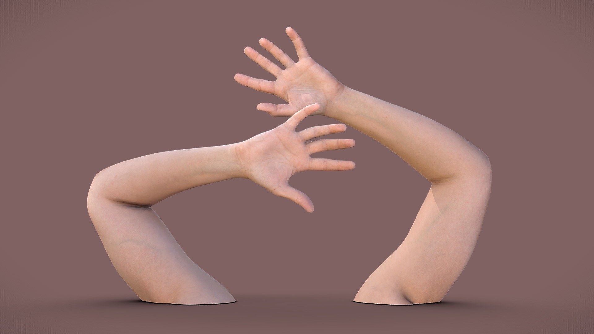 Two individually scanned 41 years old female arms.

Model includes 8k diffuse map, 4k normal map, 4k ambient occlusion map, 4k subsurface map for each arm.