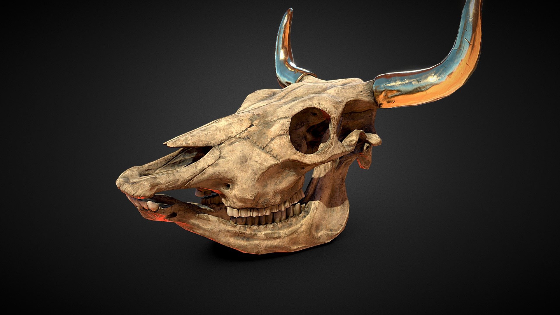W.i.p 


Game Ready Cow skull



Highly optimised AAA game ready asset with

2k textures

PBR metal roughness maps

4124 polygons for whole skull


My workflow



Modelled base mesh for sculpt in 3DsMax

Sculpted details in Zbrush

Modified base mesh for low poly in 3DsMax

Baked and textured in Substance Painter
Update: Beefed up normals in z brush, tweaked anatomy and added more dramatic lighting
