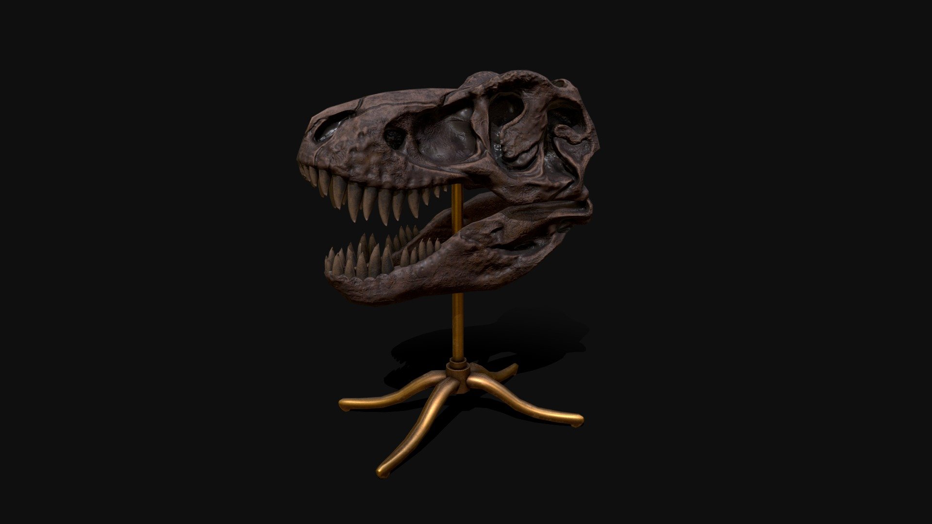 A fossilized t-rex skull on a brass display.