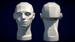 Original Scan Asaro's Planes Of The Head stl, drawing, study, painting, reference, estudio, dibujo, learning-exercise, planesoftheface, painter, structure, asaro-head, learning-modeling, johnasaro, analisys