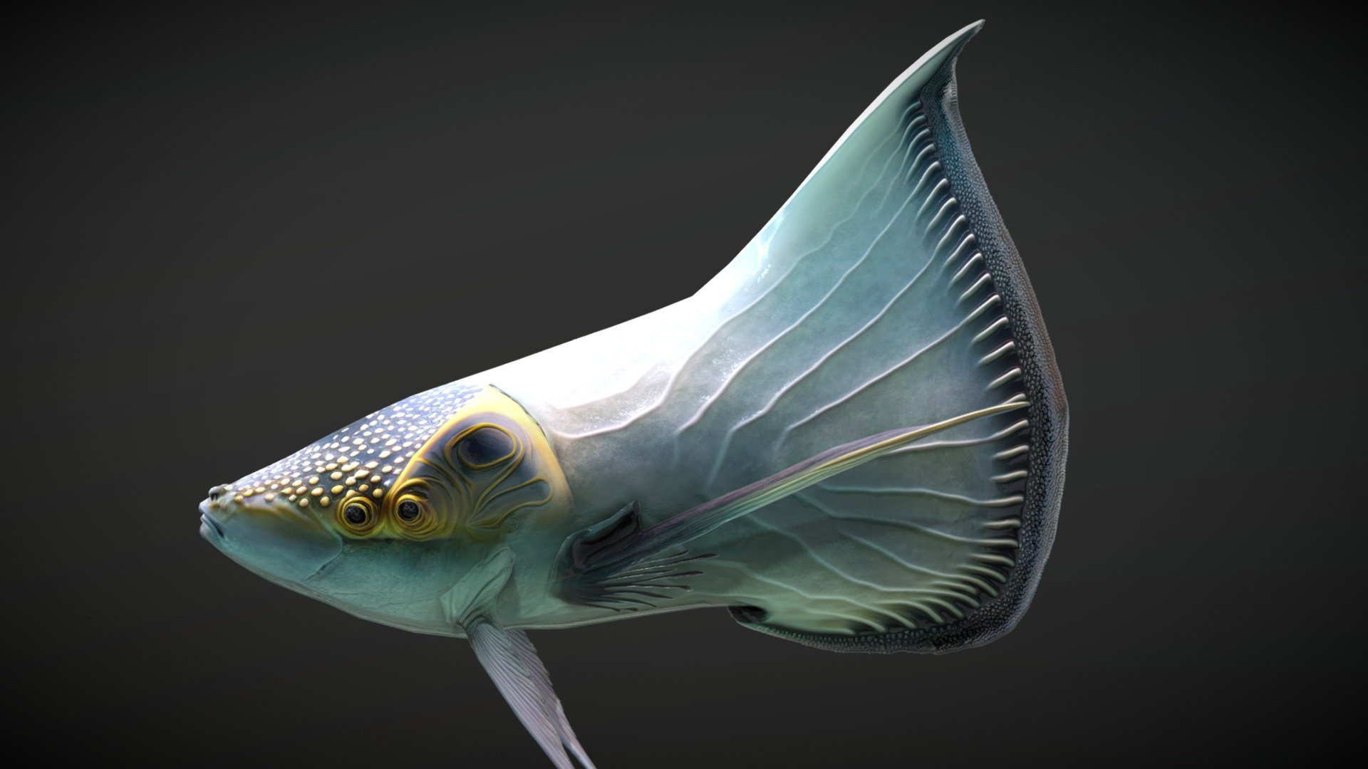 Contains 4096x4096 textures for Diffuse, Normal Map, Opacity and  Eye Mask
