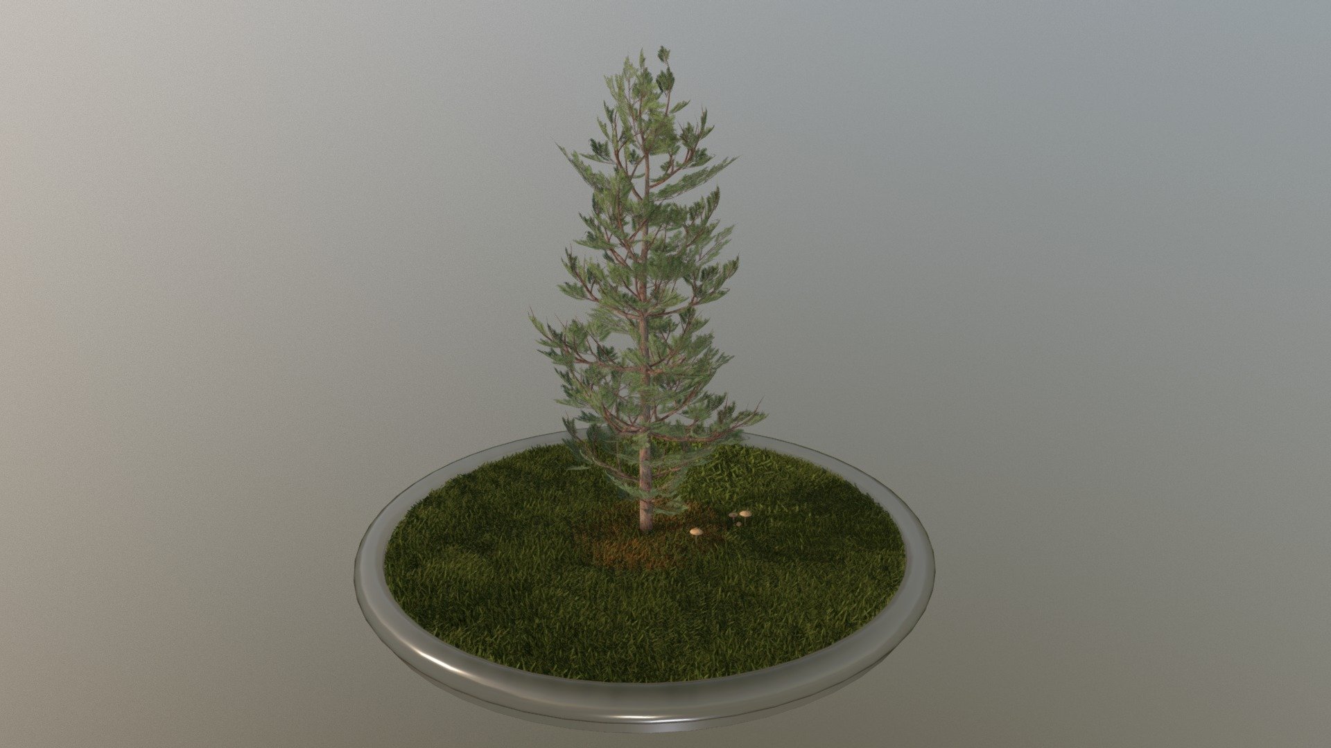 Here is a 8 meter high pine





Textures(4k):

-Color map

-Normal map



This model was created by 3DHaupt for the Software-Service John GmbH

Here on Sketchfab you can see and purchase some of our 3d-models which we are using in our projects for VIS-All.

The model was created in Blender-3d