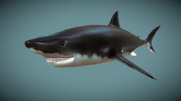 Great White Shark shark, fish, fishing, pet, underwater, animals, ocean, aquatic, pets, greatwhiteshark, whiteshark, greatshark, animal, sea, boat