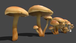 Mushroom_2 forest, mushroom, fungus, biology, environement, props, nature, fungi, champignon, foret, mycology, environment-assets, agisoft, asset, blender, lowpoly, scan, gameready, noai