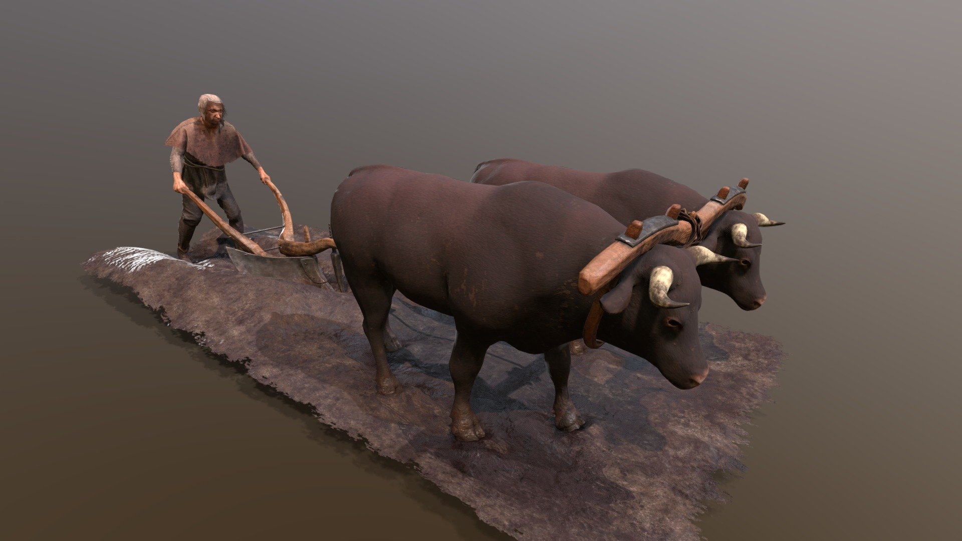 A 14th century farmer using a heavy plough pulled by oxen.

I was approached by BuildersBrew to create a small diorama of a Medieval Farmer ploughing the fields, this was based off of some references provided and is to be used within the immersive mobile app for The Chester House Estate.
Conservation with the overall tricount, texture space and alpha usage in the project was important to make sure the model could load well in the application, the texture for the character was 4k for this render however this was reduced to 2k in the application and the overall tricount came in at around 70k for the whole project. 
This was a short project taking around 3 weeks to produce, It was a good experience to see how fast i could get some good sculpts through zbrush as well as getting workable clothing through marvelous designer.

you can see the a more indepth breakdown on my portfolio at: https://www.artstation.com/artwork/1x8bOZ