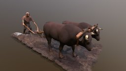 Medieval Farming medieval, historical, farmer, ox, agriculture, plough