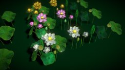 Flower Nelumbo Nucifera tree, plant, flower, vegetation, asset