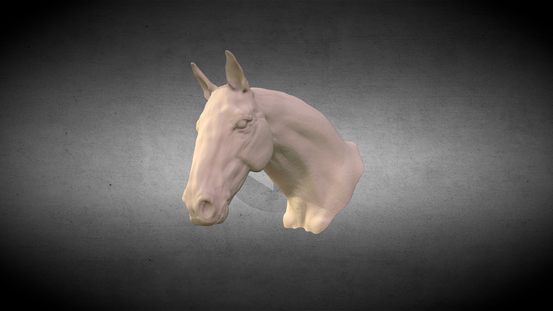 A horse head that I sculpted last year in Zbrush