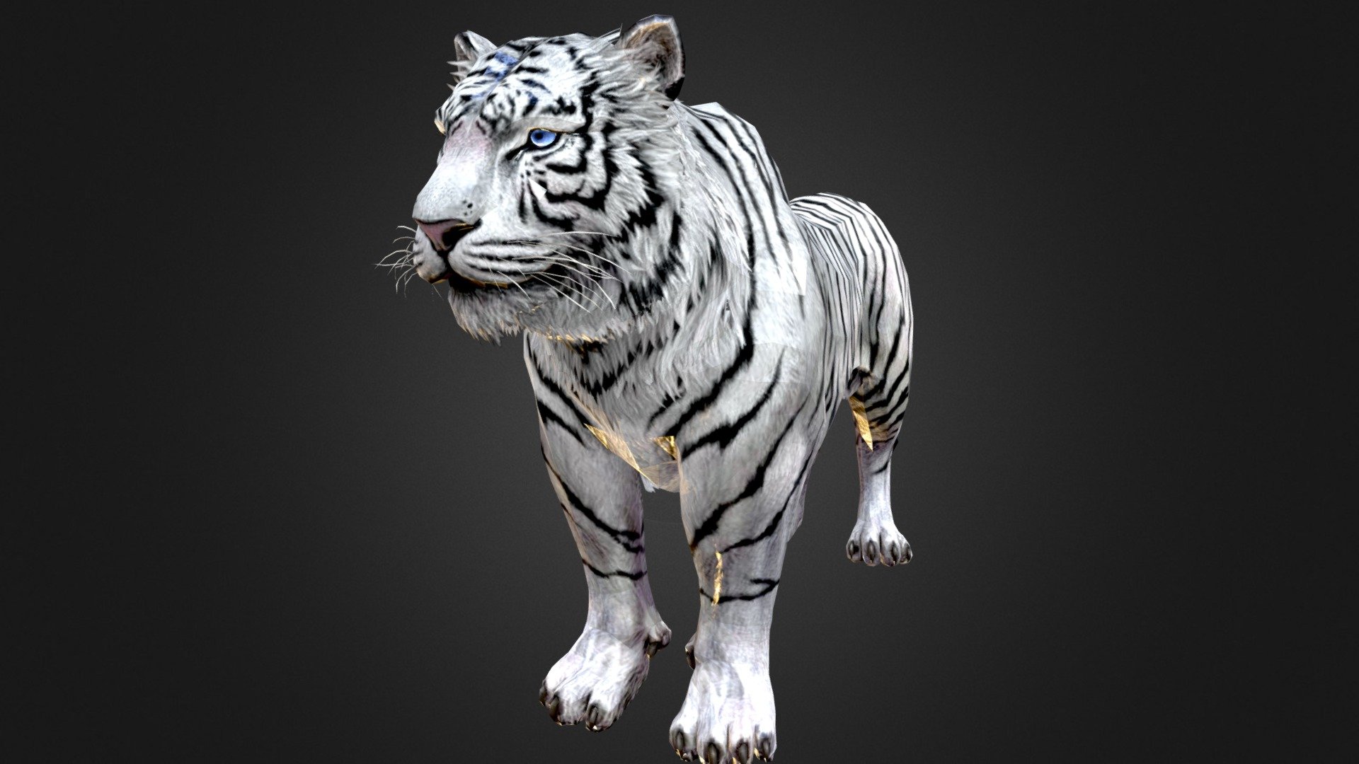 High detail and realistic KING WHITE TIGER 3D models JUNGLE ANIMALS RDAM ,
This is a 3D ANIMAL high-end photorealistic 3D models of ANIMALS JUNGLE called REY WHITE TIGER 3D MODEL Animated DE LA JUNGLA in Blender. 
DOWNLOAD WHITE TIGER: https://sites.google.com/view/3d-models-download-rdam/models-3ds-max-maya-c4d-unity-unreal-blender

You can check the individual model
45240/45240 - ID of TIGER WHITE 3D RDAM Animated

Originally created with 3ds Max 2016 and saved as BLENDER AND 3ds Max 2013

SCENE objects:

You can check the full list of objects via VIDEO in presentation images

Please check out my other models, just click on my user name to see complete gallery RDAM STUDIO
Thank you for choosing my model, I hope you like it!
Rig Description

BLENDER 3.0
&lsquo;Auto rig PRO'
&lsquo;complet facial rig'