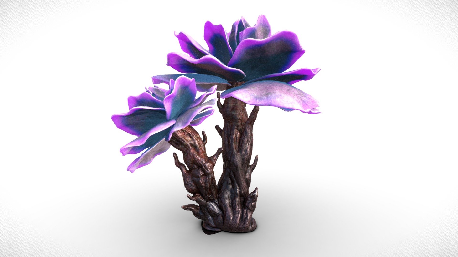 This plant comes with Two tree variations, around 7000 Vertices each.
All textures are 4096x4096 each.

Textures




Trunk A Dif (Roughness in Alpha channel)

Trunk A Norm

Trunk A Metallic + Glow (R and G Channels)

Trunk B Dif (Roughness in Alpha channel)

Trunk B Norm

Trunk B Metallic + Glow (R and G Channels)

Petals Dif (Roughness in Alpha channel)

Petals Norm

Petals Metallic + Glow (R and G Channels)
