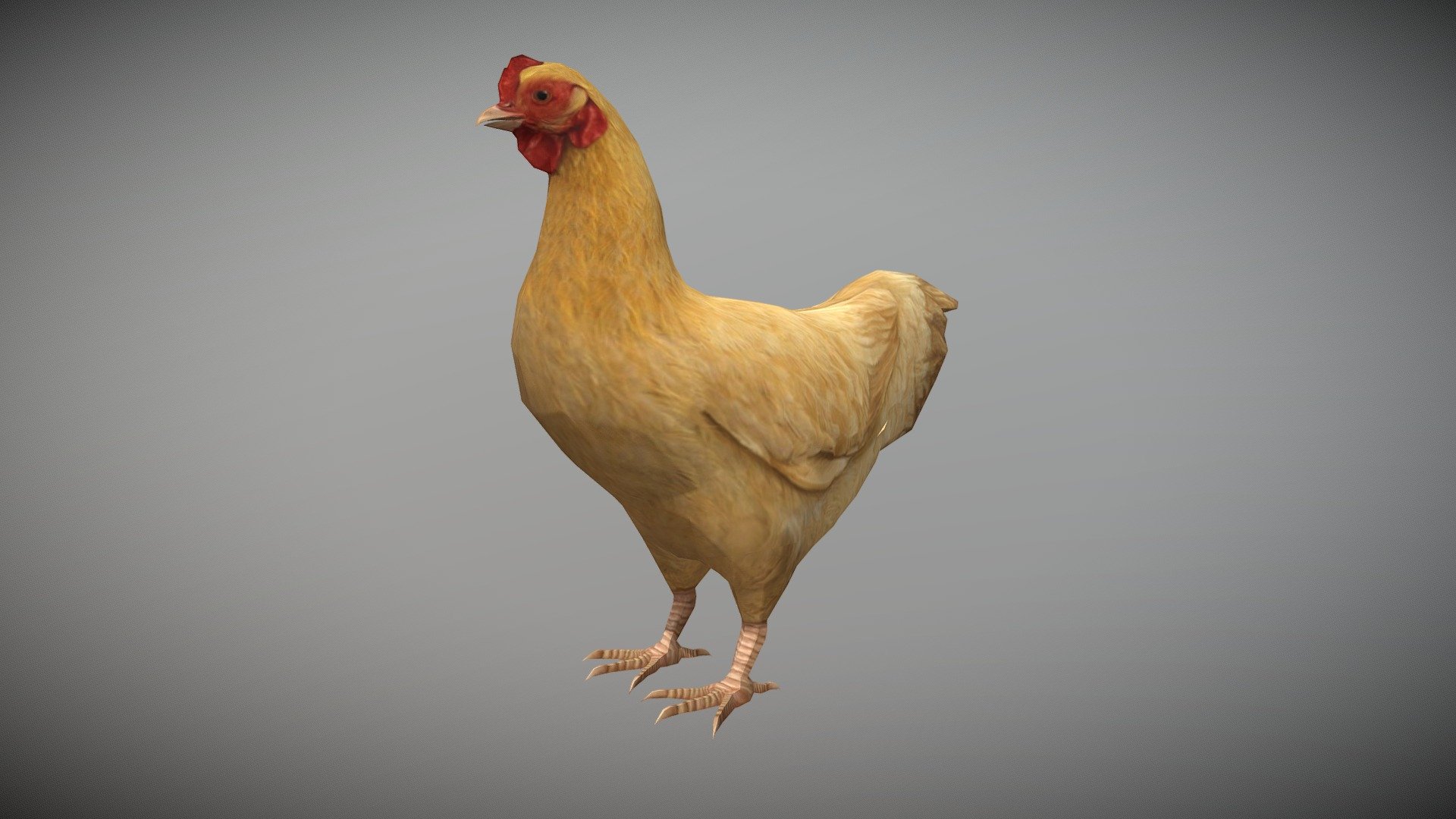 WATCH = https://youtu.be/6MZWp7julbM

3D Realistic Hen Chicken with Animations

PACKAGE INCLUDE




High quality polygonal model, correctly scaled for an accurate representation of the original object.

Model is built to real-world scale.

Many different format like blender, fbx, obj, iclone, dae

No additional plugin is needed to open the model.

3d print ready in different poses

Separate Loopable Animations

Ready for animation

High Quality materials and textures

Triangles = 1561

Vertices = 784

Edges = 2343

Faces = 1561

ANIMATIONS




Idle

Walk

Eat

3D PRINT POSES ( STL \ OBJ )




Stand

Stand side look

Look Down

One Foot 1

One foot 2

Eat

Walk
