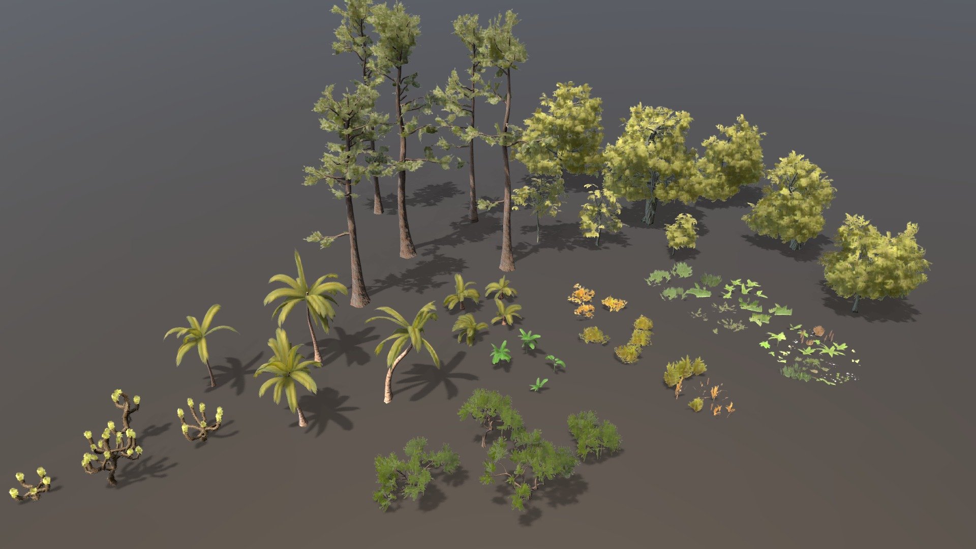 Oak trees, pines, banana plants, acacia, joshua, curly and coconut palms, bunch of grass and shrubs and sticks