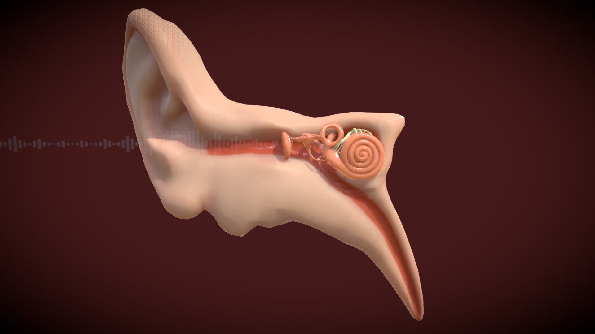 Ear_Anatomy
Ear_drum
Hammer
Anvil
Stirrup
Cochlea
Nerve
Sound wave