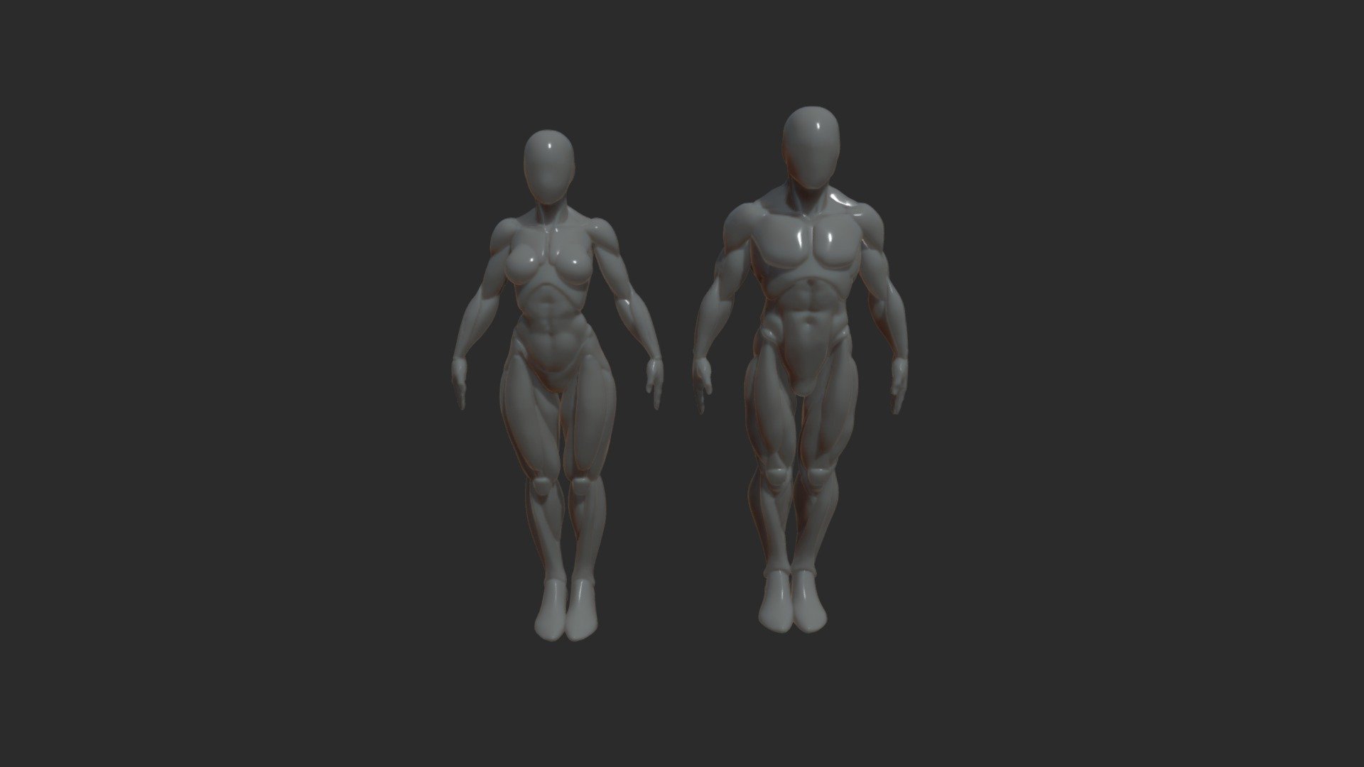 A pack of 3D models that includes both male and female anatomic basemeshes is a collection of digital representations of the human body in its basic form, designed for use in 3D modeling, animation, game development, and other digital art projects. The male and female basemeshes are created to accurately depict the anatomical features, proportions, and body structures of each gender, with a focus on realistic muscle definition and detail. These basemeshes serve as a starting point for creating more complex and detailed 3D models of male and female characters. They can be customized to fit specific project needs, such as adjusting the size, shape, or pose of the character.