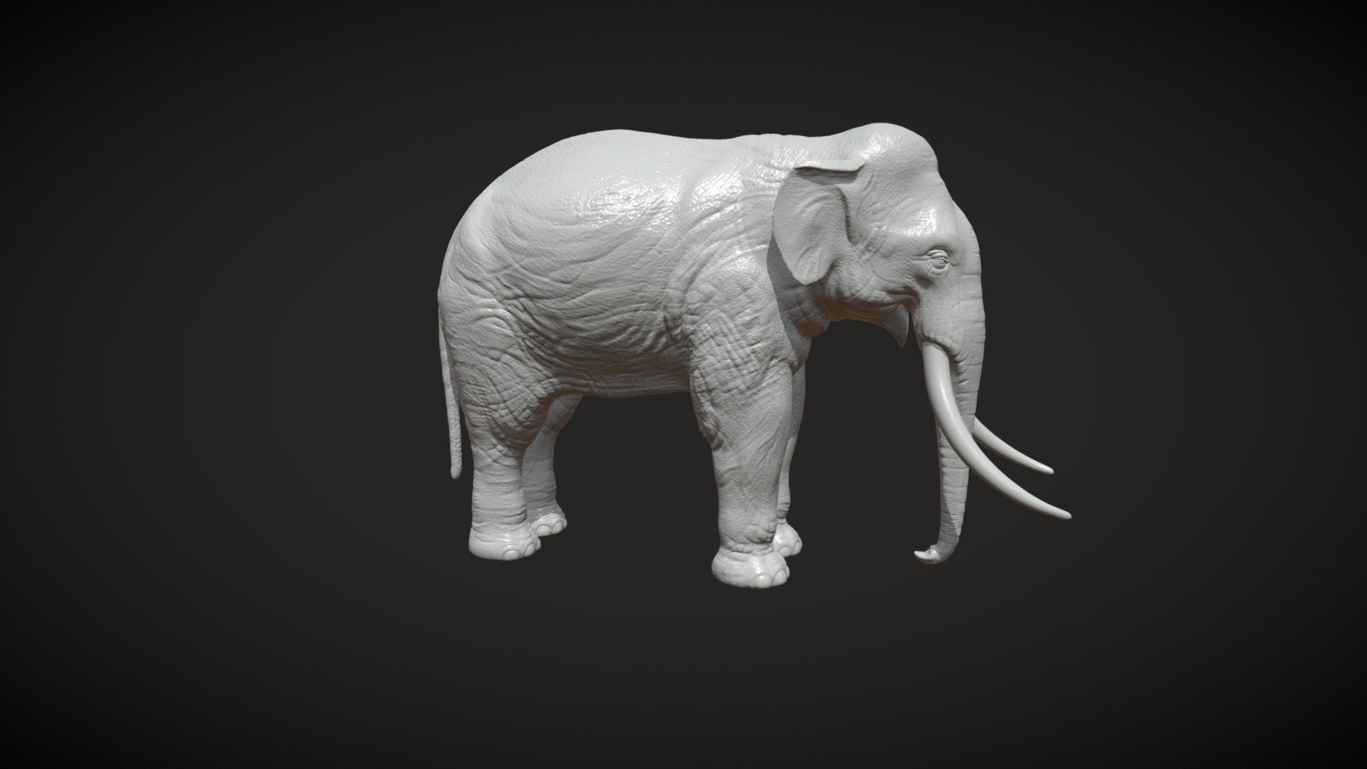 Print ready model of Elephant.

Measure units are millimeters , it is about 3 cm in height.

Mesh is manifold, no bad contiguous edges

Faces : 916252 (tris)
verts : 458128

Each file contains one solid objects. 

Available formats: .blend, .obj, .3ds, .fbx, .dae