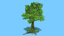tree plant tree, plant, forest