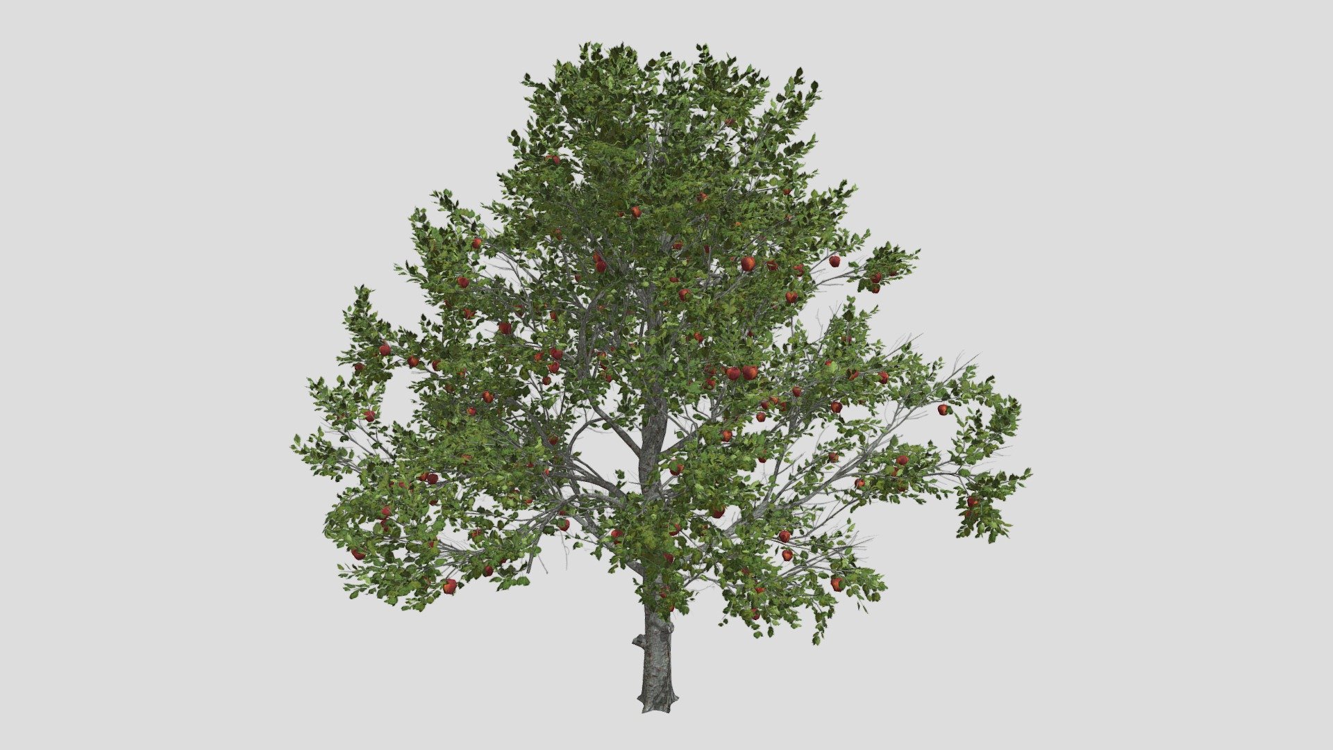 Features:




Vray &amp; Corona Render Engine Ready

OBJ &amp; Max Format

3DS Max 2015

Optimized

Clean Topology

Up to 99% Quad

Unwrapped Overlapping

Real-World Scale

Transformed into zero

Grouped

Objects Named

Materials Named

Up to 4K Textures map
