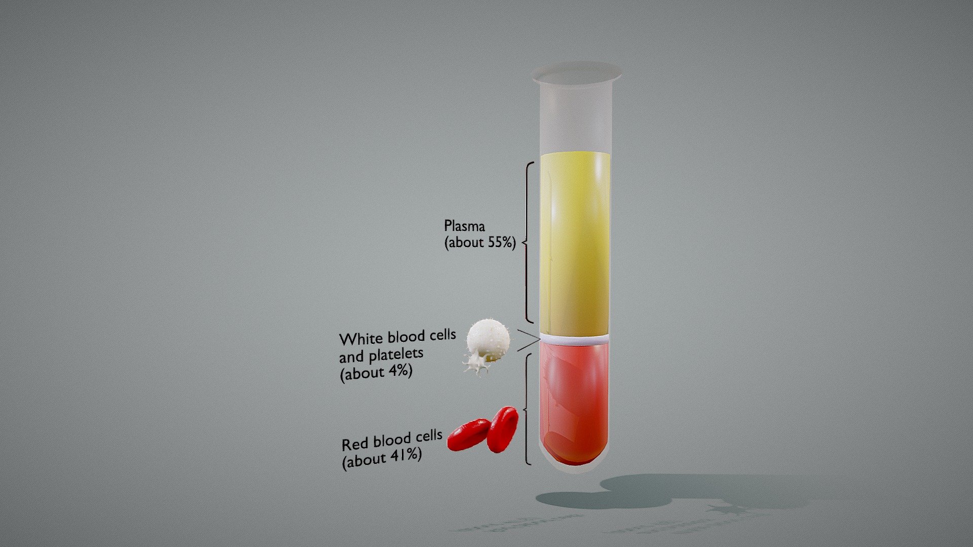 Composition of Whole Blood




Format: FBX, OBJ, MTL, STL, glb, glTF, Blender v3.5.1

Optimized UVs (Non-Overlapping UVs)

PBR Textures |4096x4096 | (4K - Jpeg, Png)

Base Color (Albedo)

Normal Map

AO Map

Metallic Map

Roughness Map

Height Map

Opacity Map
