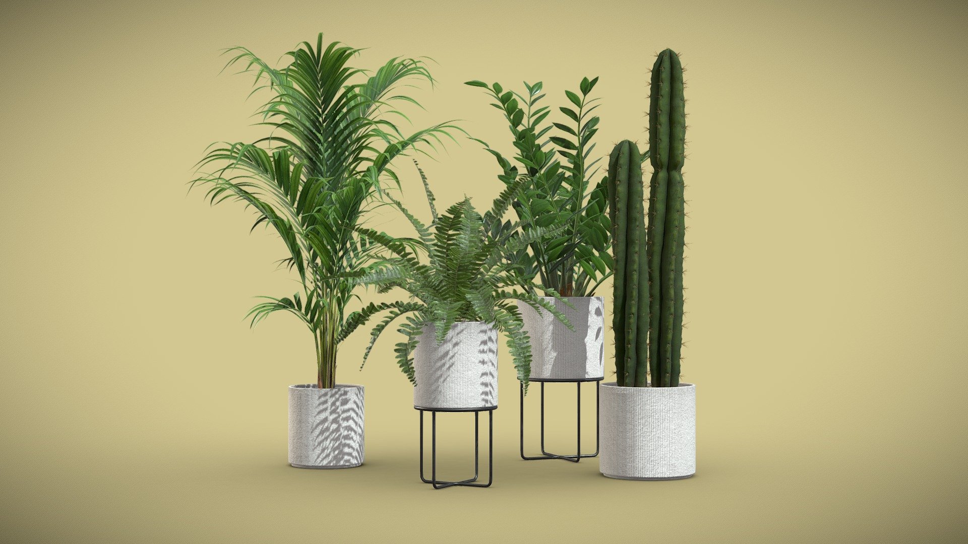 Indoor Plants Pack 56

This selection of indoor exotic plants will provide a level of detail that will take your visualizations to the next level.

Models can be subdivided for more definition.




Zamioculcas Zamiifolia

Majesty Palm

Boston Fern

Saguaro Cactus

4k Textures




Vertices  155 095

Polygons  119 404

Triangles 238 576
