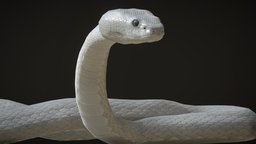 White Viper Snake with animations beast, unreal, viper, snake, serpent, fangs, crawl, slithering, unity, animation, monster, gameready