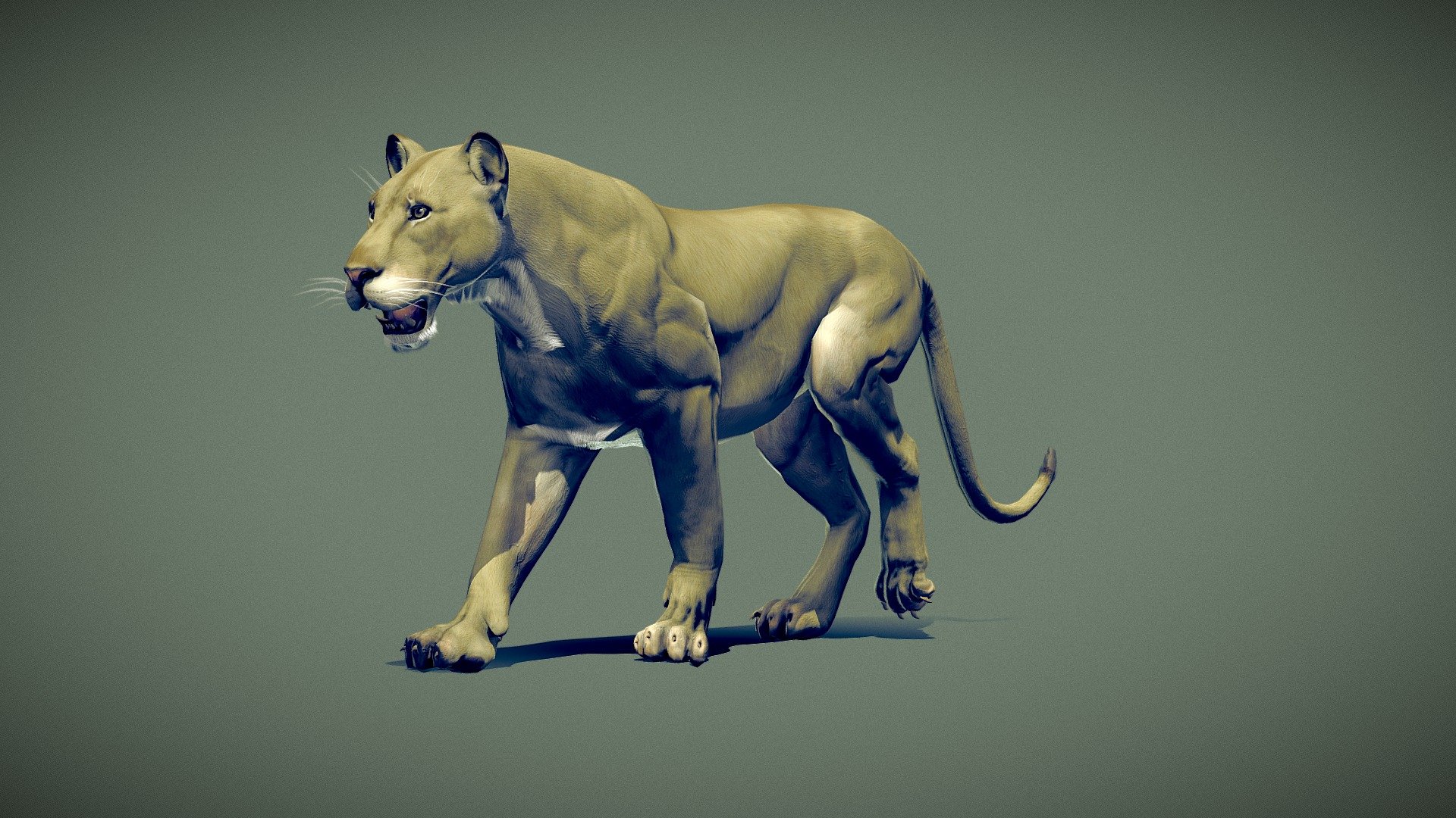This model has a clean geometry based on quads and loops. It is FULLY RIGGED. (Ready to render exactly as you see above)

Model has: 4096x4096 textures (normal, color, ambient occlusion, roughness, metallic)

Originally created with Maya, Zbrush and Substance Painter

Objects are named Send me messages if you have questions! I will happy to answer it!!!