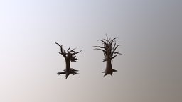 Trees for Nordic Scene Proyect image, campus, substancepainter, substance