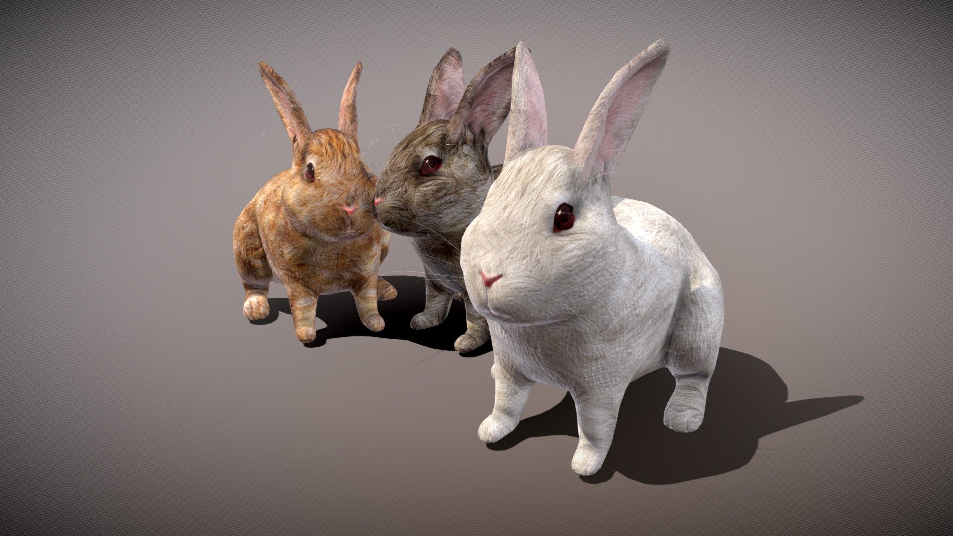 Doing a rabbit, there is material, have a normal map, binding, can do the animation, comparative fine texture is larger
= = = = = = = = = = = = = = = = = = = = = = = = = = = = = = = = = = = = = = = = = = = = = = = = 
Other works ~ welcome to visit my home page