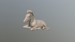 Cute Horse - Fole laying down cute, sculpting, horses, cutegirl, fole, photogrammetry, horse, 3dmodel