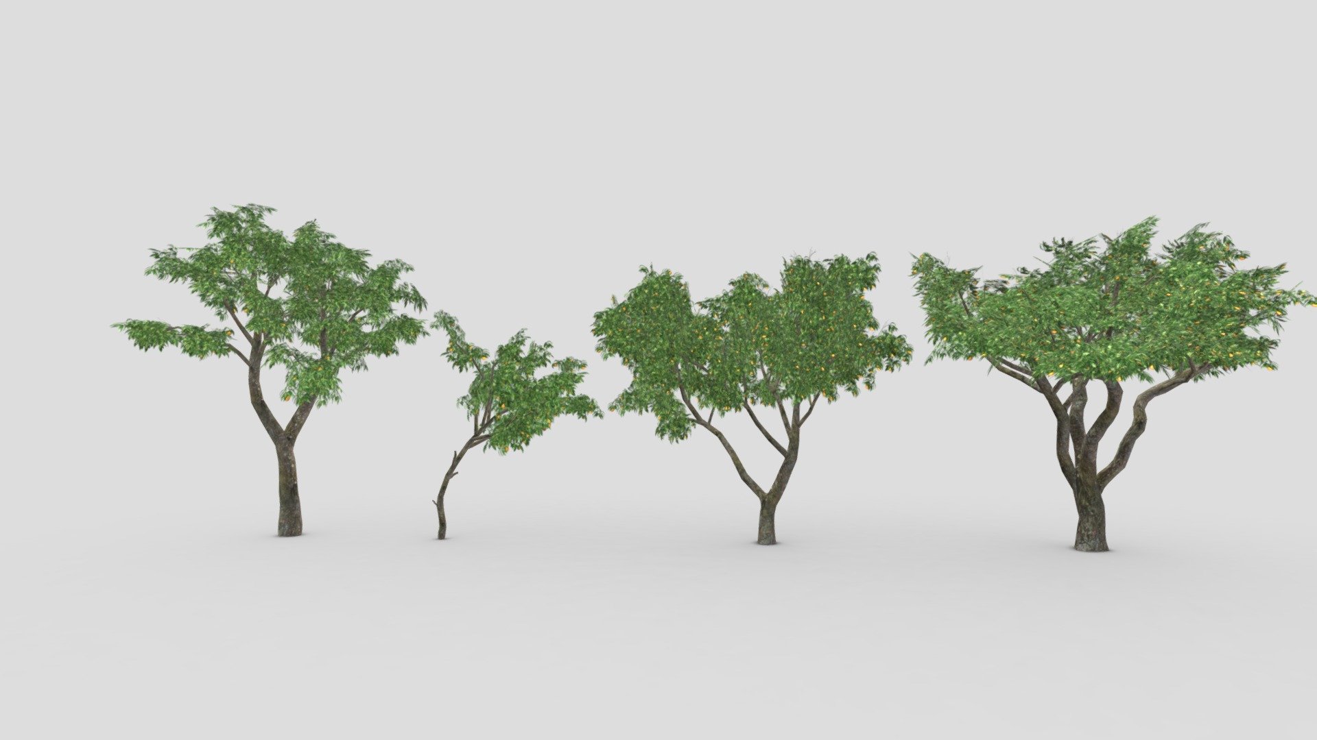 This collection contains 4 3D low-poly poly models of Orange Tree. You can use these models in your projects.
