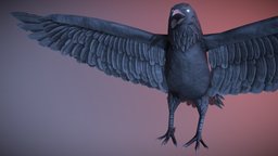Raven bird, raven, crow, feather, substancepainter, substance, animal, stylized, wing