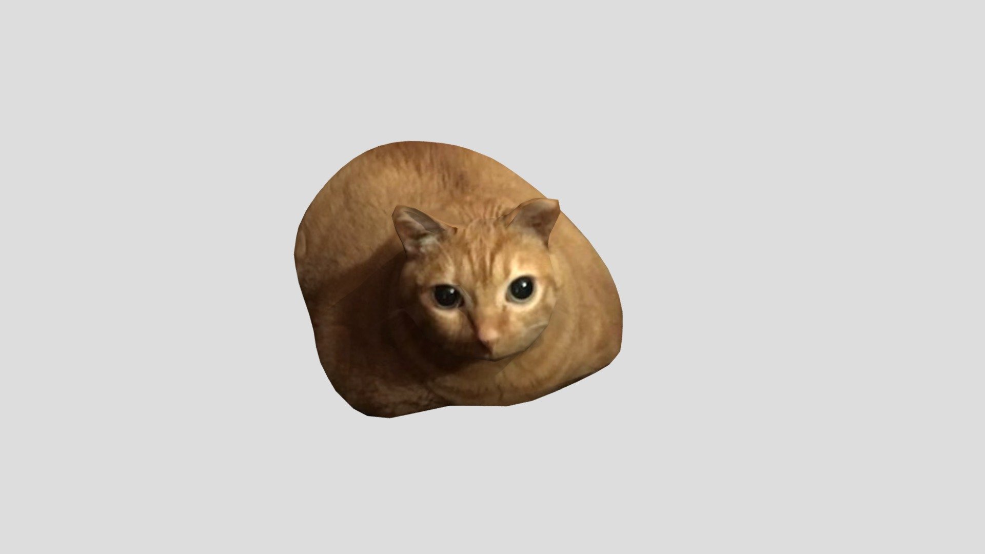 garfield you fat cat you are so big and fat why are you so fat

vid about making this on youtube: https://youtu.be/2zk9UDkNHKc

upd: shoutout to Pablo The Race Cat