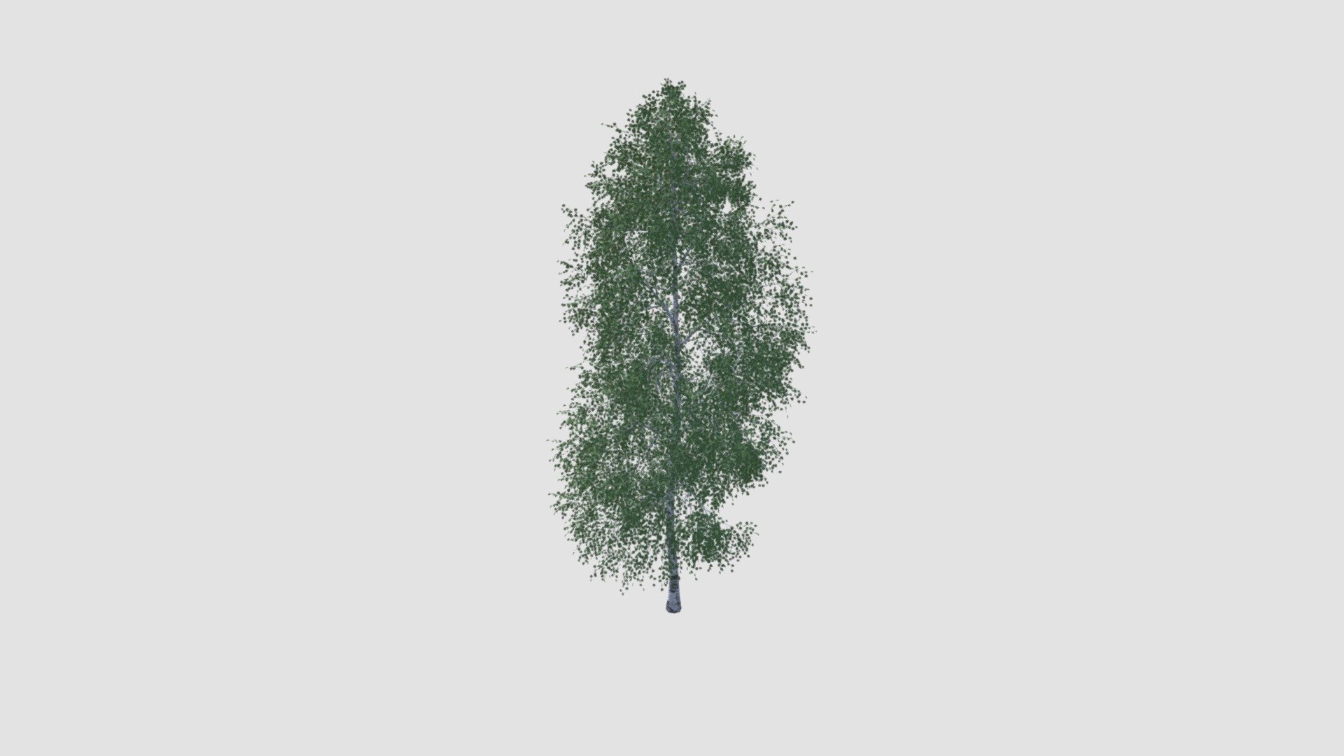 Highly detailed model of tree with textures, shaders and materials. It is ready to use, just put it into your scene.