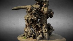 Old Lime Tree (Pottendorf) tree, limestone, pottendorf, old_tree, limetree