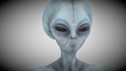 Grey Alien - Roswell Model - Lowpoly in, base, grey, prop, army, ufo, extraterrestrial, aliens, alien, illuminati, area51, alieno, mib, alien-creature, ufology, crowley, alien-character, ufo-alien-lowpoly-lowpolymodel-lowpolyart, roswell, enochian, man, sci-fi, creature, black, space, skin, aleister-crowley, takkuy, shaxer, ebe