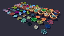 Succulent Plant Pack 01 plant, grass, toon, flower, b3d, pack, vegetation, nature, succulent, glowing, gradient, stylize, alienplant, succulent-plants-terrarium, blender, lowpoly, blender3d, succulent-plant, plantpack, noai, stylizeplant, wierdplant, alienflowers, uniqueplant