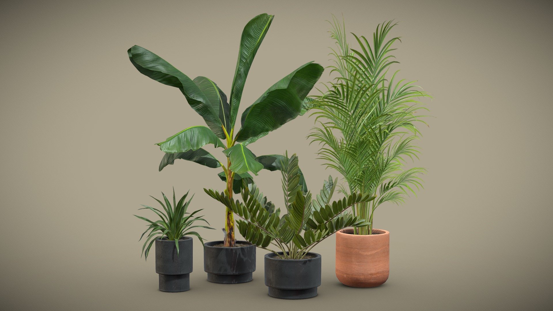 Indoor Plants Pack 43

This selection of indoor exotic plants will provide a nice touch to your interior renders.




Musa Paradisiaca

Dypsis Lutescens

Zamia Furfuracea

Rhodea Japonica

4k Textures




Vertices  79 916

Polygons  63 373

Triangles 126 610
