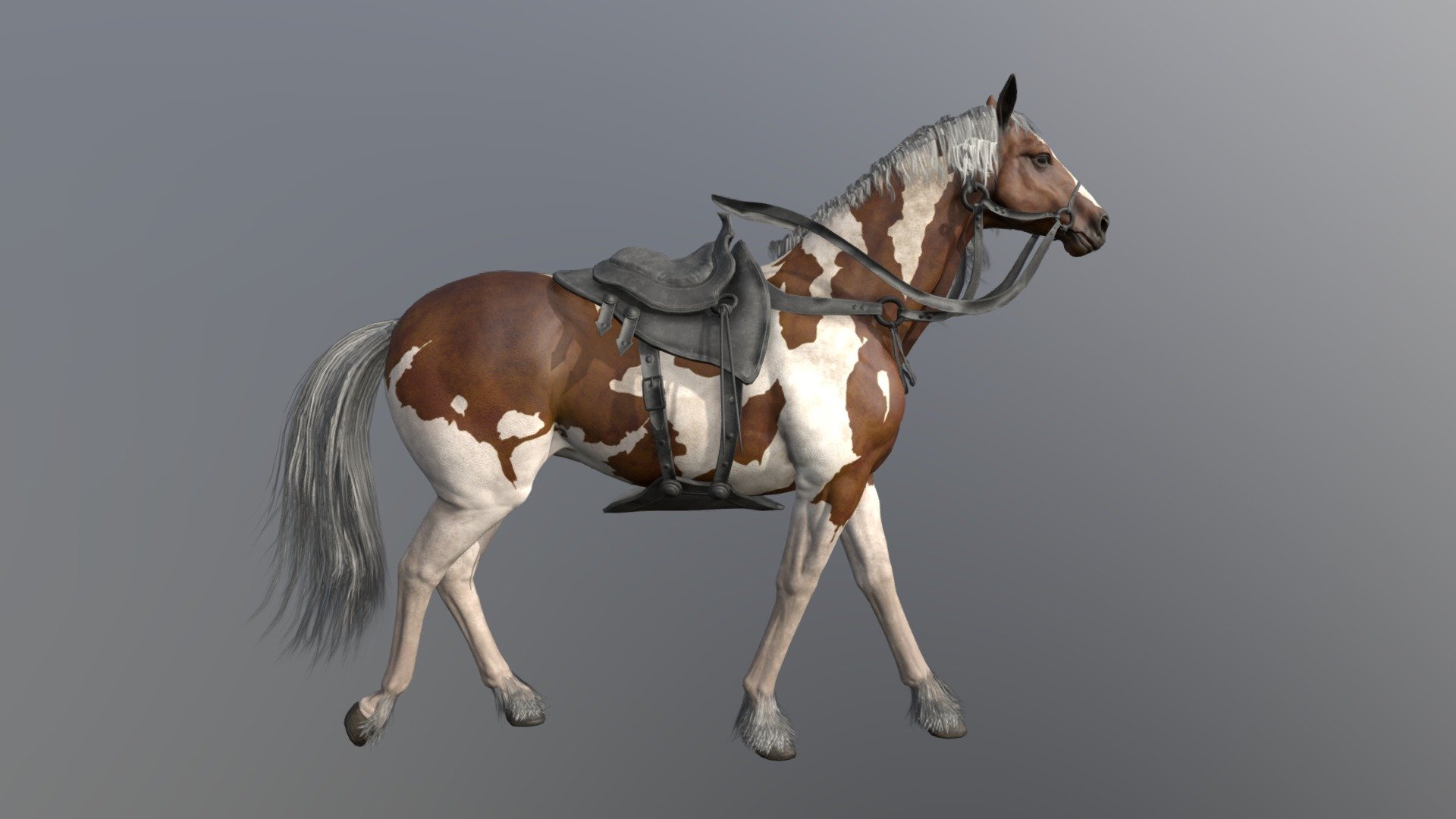 Horse Walk- cycle animated 

fbx file format