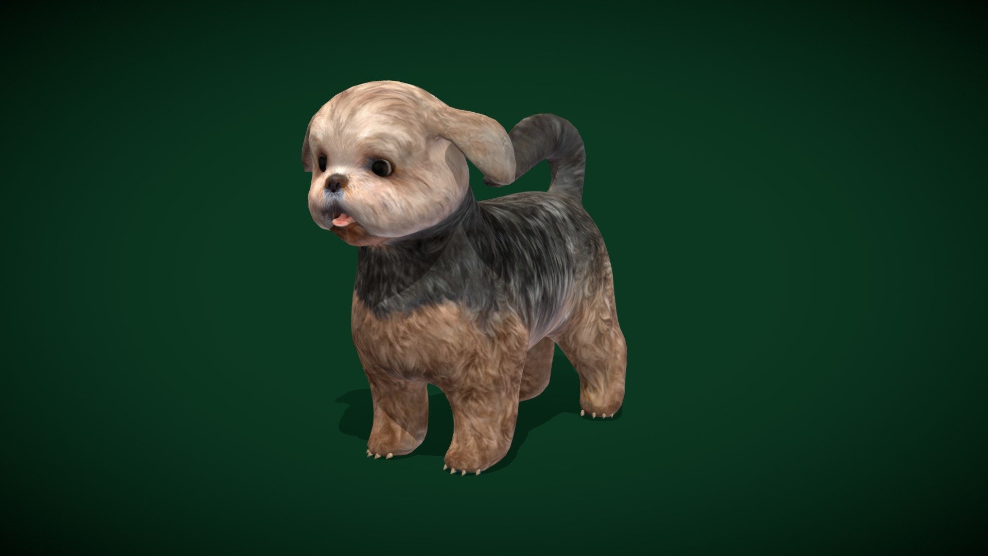 

Shihtzu Dog  (Toy Dog Pet Dog Breed) 

Canis lupus familiaris Animal Mammal (  Cute ) Pekingese

1 Draw Calls

Lowpoly









1 Animations

4K PBR Textures Material

Unreal FBX

Unity FBX  

Blend File 

USDZ File (AR Ready). Real Scale Dimension

Textures Files

GLB File

Gltf File ( Spark AR, Lens Studio(SnapChat) , Effector(Tiktok) , Spline, Play Canvas ) Compatible

Triangles : 9608

Vertices  : 4934

Faces     : 6117

Edges     : 11030

The Shih Tzu is a toy_dog or pet_dog breed originating from Tibet and believed to be bred from the Pekingese and the Lhasa Apso. Shih Tzus are known for their short snouts and large round eyes, as well as their long coat, floppy ears, and short and stout posture. Wikipedia
Temperament: Playful, Clever, Affectionate, Lively, Intelligent, MORE