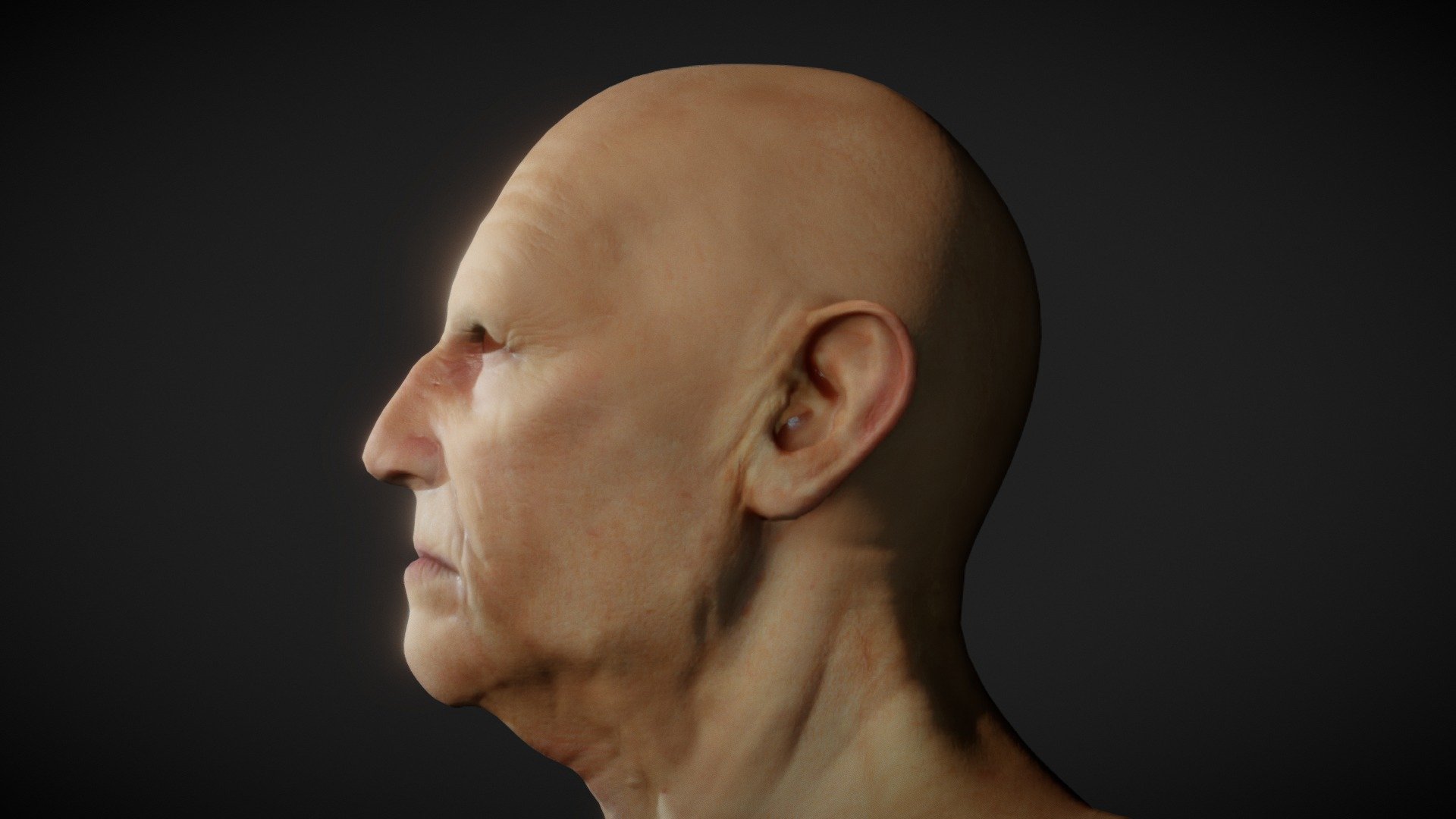 Sculpt of a generic old man done as part of anatomy study,
Sculpted in Zbrush

Perfect for simulatiung tattoos and use in Procreate 3D

For Procreate Make sure to download and use the USDZ file if you want to automatically load the model with color texture, otherwise use the OBJ