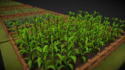 Low Poly Educational Farm Pack |  (8 Varieties) green, plants, mesh, augmentedreality, carrot, turnip, virtualreality, education, nature, tomato, vegetable, cauliflower, chickpeas, superlowpoly, peas, game, cornplant, mungbean