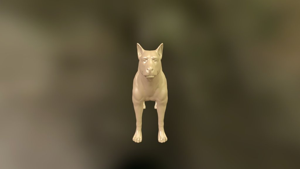 whatever dog