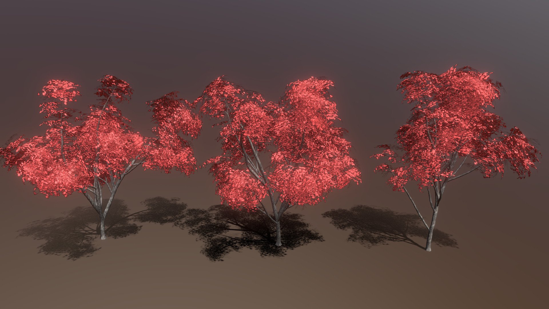 Three variations of bright red autumn maple trees. 

Specifications:

UV Mapped: Yes

Included Textures: Yes

Animated: No

Rigged: No



Bark textures include: color, normal, and roughness.

Foliage textures include: color, normal, and roughness.



Vertices: ~35k to 40k per tree

Tris: ~50K per tree



The foliage texture is composed of an atlas with four different variations of branches.

The geometries were generated with florasynth.com
