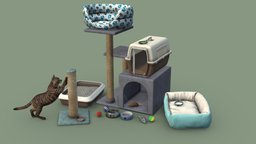 Accessories for Cat cat, kitty, pet, tray, collar, kitten
