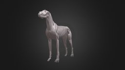 DOG ANATOMY anatomy, ecorche, 3d, zbrush, animal