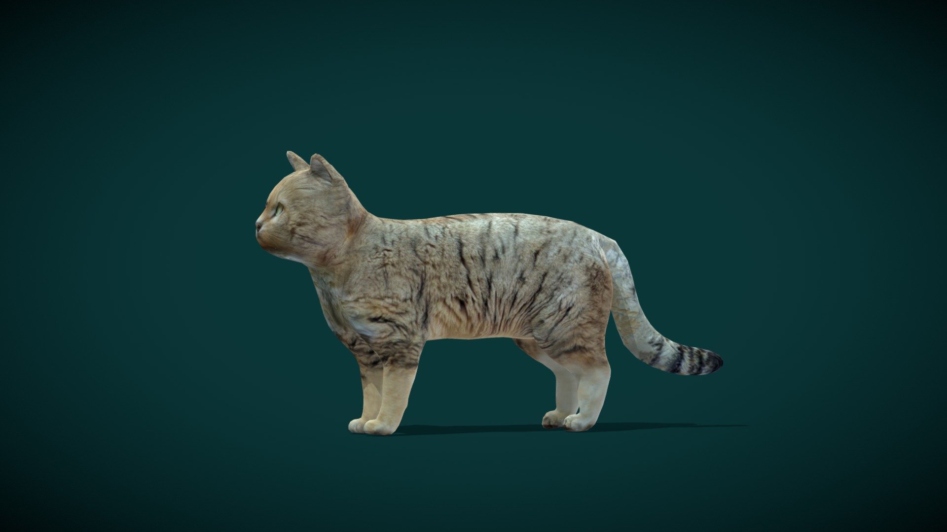 **Anyimals Blender Add on Assets Same Rigs Feather **




Lowpoly

FBX Original File

Rigged

4K PBR Textures Materials

1 Draw Call

Vertices -3060

Triangles - 5966

Faces - 3230

Edges - 6287

