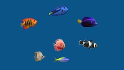 Aquarium Fish 7 (Old version) fish, discus, tropical, river, underwater, coral, aquarium, tang, bay, angelfish, freshwater, clownfish, aquarium-fish