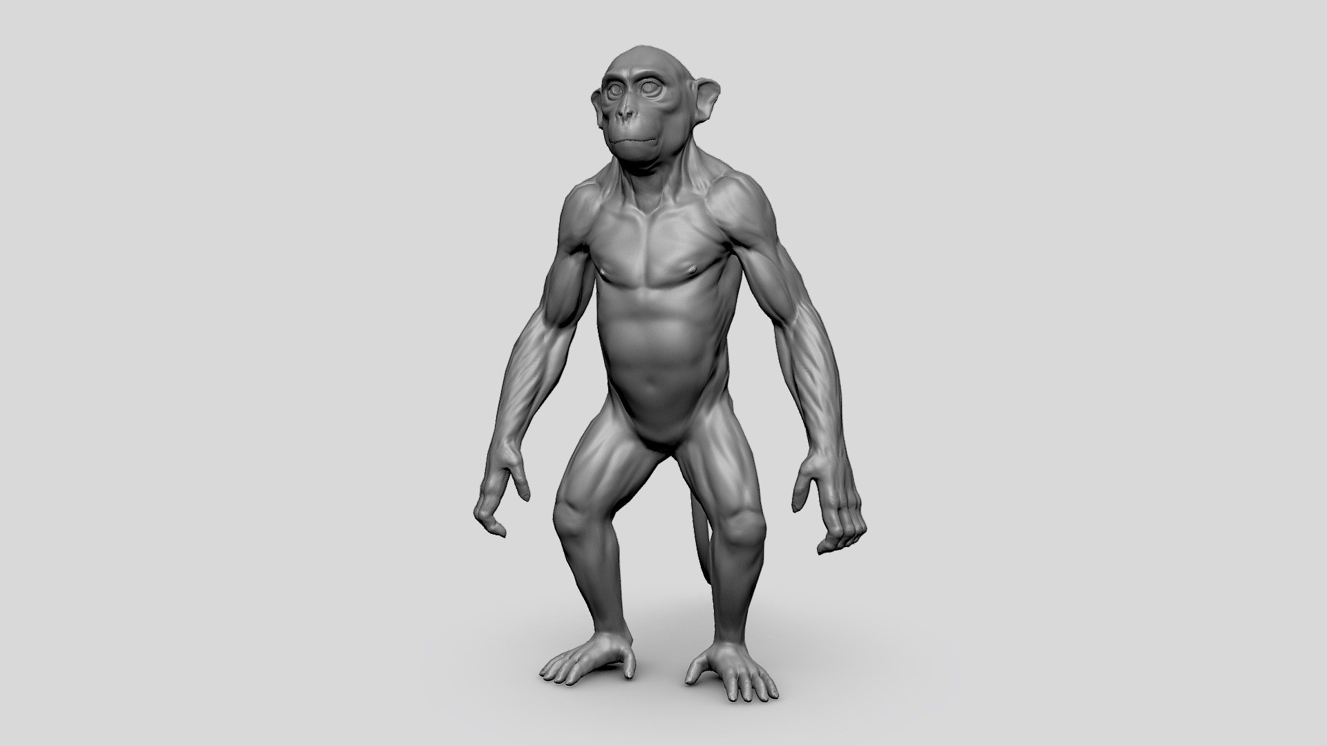 ⬇️ Click the link to get the model on FAB ⬇️ :

https://fab.com/s/eef74ddad2dc
Monkey model was made in Zbrush and retopo and UV Unwrap  with proper topology and looping with Unwraped UV and no over lapping.

Ready for sculpting and texturing&hellip;

File format:





Obj




Fbx ( low, High )




Maya file ( low, Map) 




Blender file ( Map, Sculpt)




Zbrush file 




Displacement 



Inside the product:





clean topology




Single Udim 




unwrapped Uvs for texturing




no overlapping UVs




proper naming and grouping




no unwanted shaders and history.



You May also like:


https://skfb.ly/oWXY7



https://skfb.ly/oSAX8
