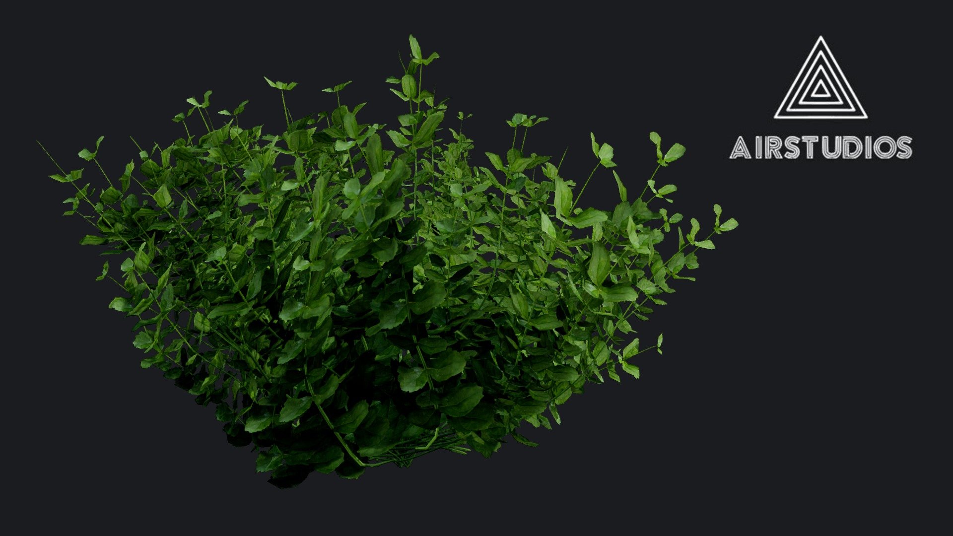 Game Ready Bush
Made in Autodesk Maya