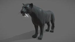 Tiger tiger, lion, animal